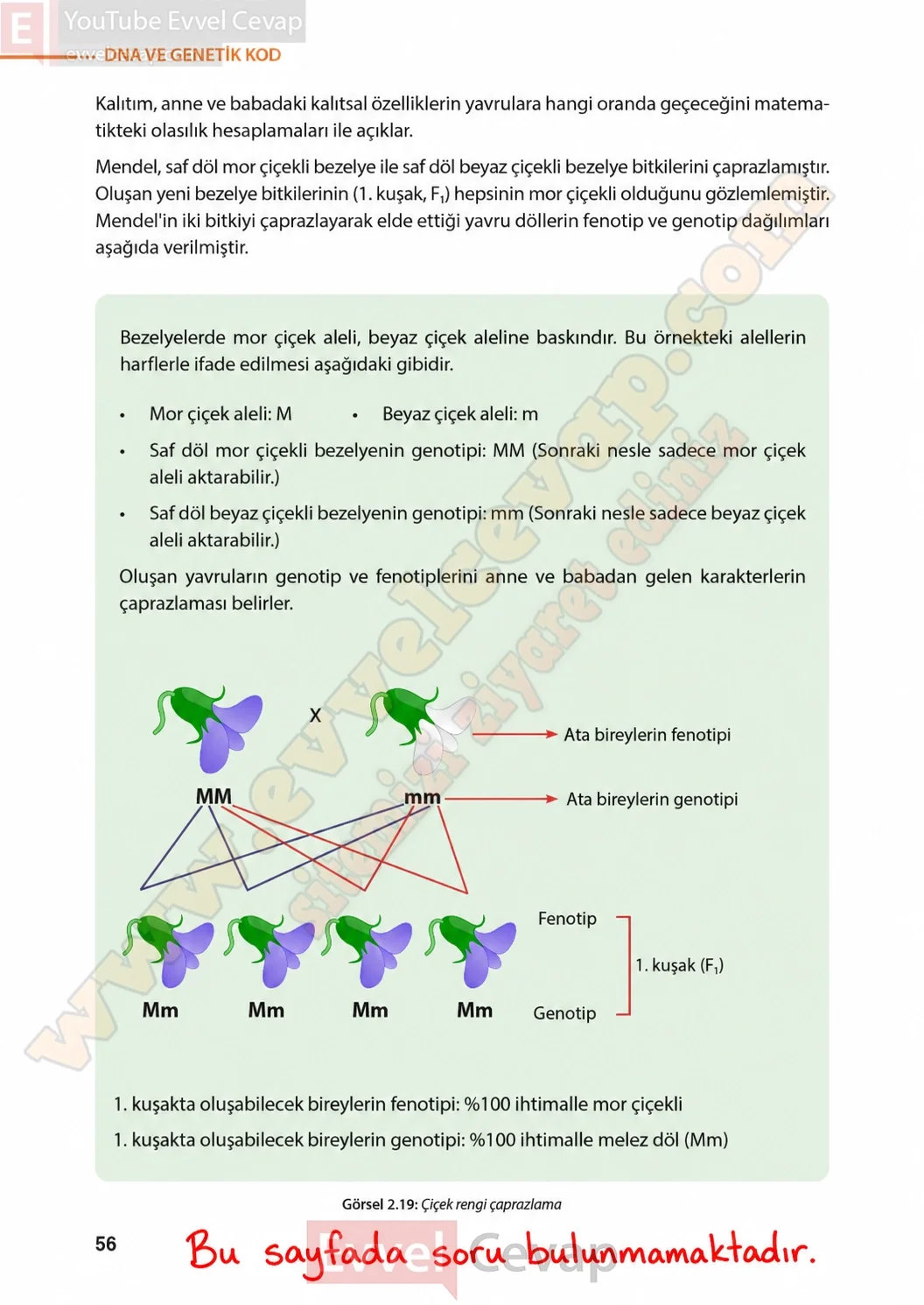 8-sinif-fen-bilimleri-ders-kitabi-sayfa-56-cevaplari-meb-yayinlari-2026-2027
