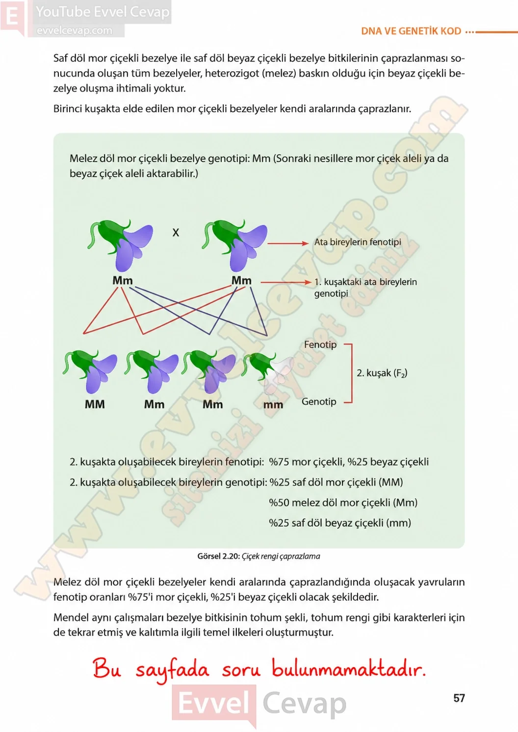 8-sinif-fen-bilimleri-ders-kitabi-sayfa-57-cevaplari-meb-yayinlari-2026-2027