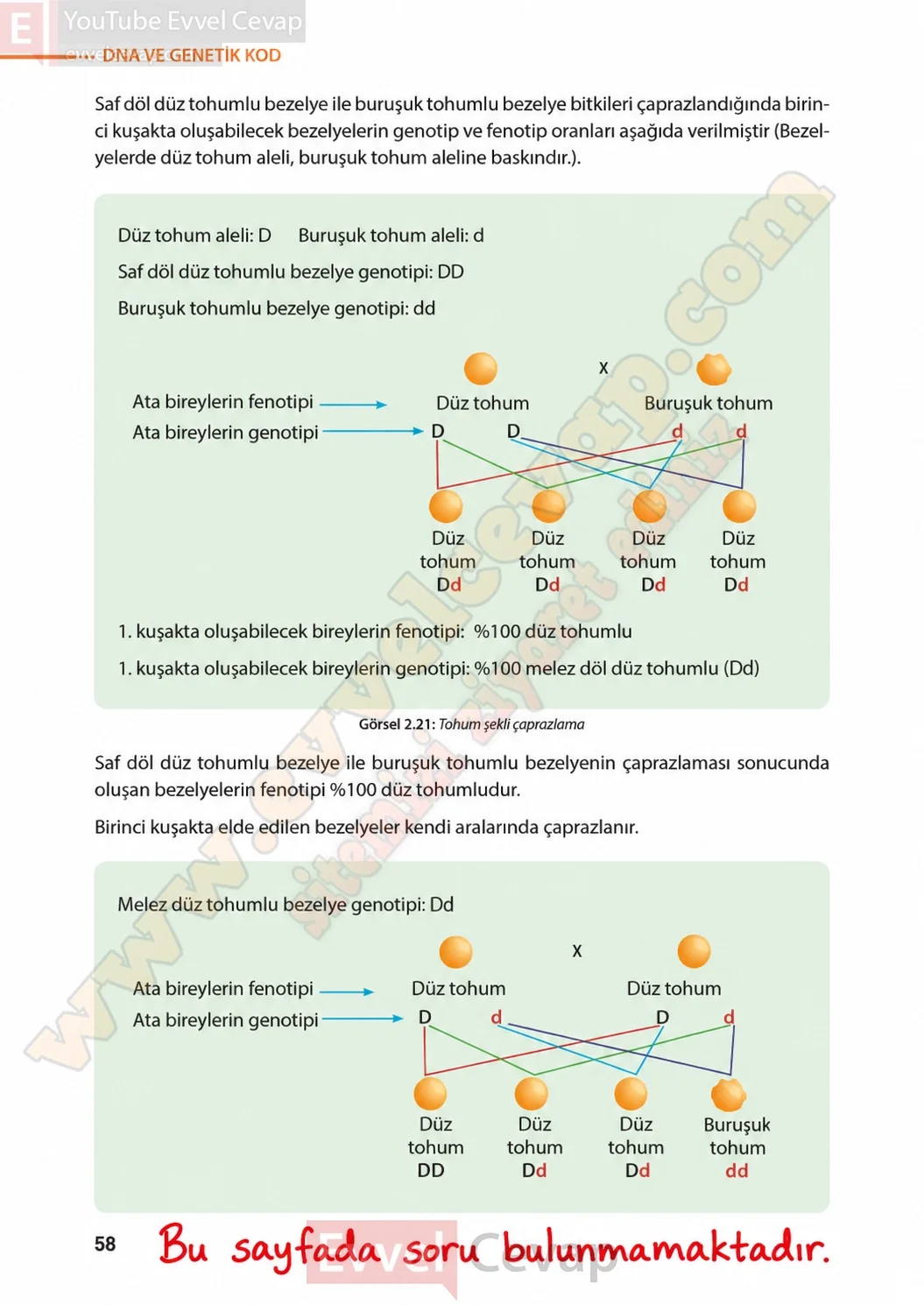 8-sinif-fen-bilimleri-ders-kitabi-sayfa-58-cevaplari-meb-yayinlari-2026-2027