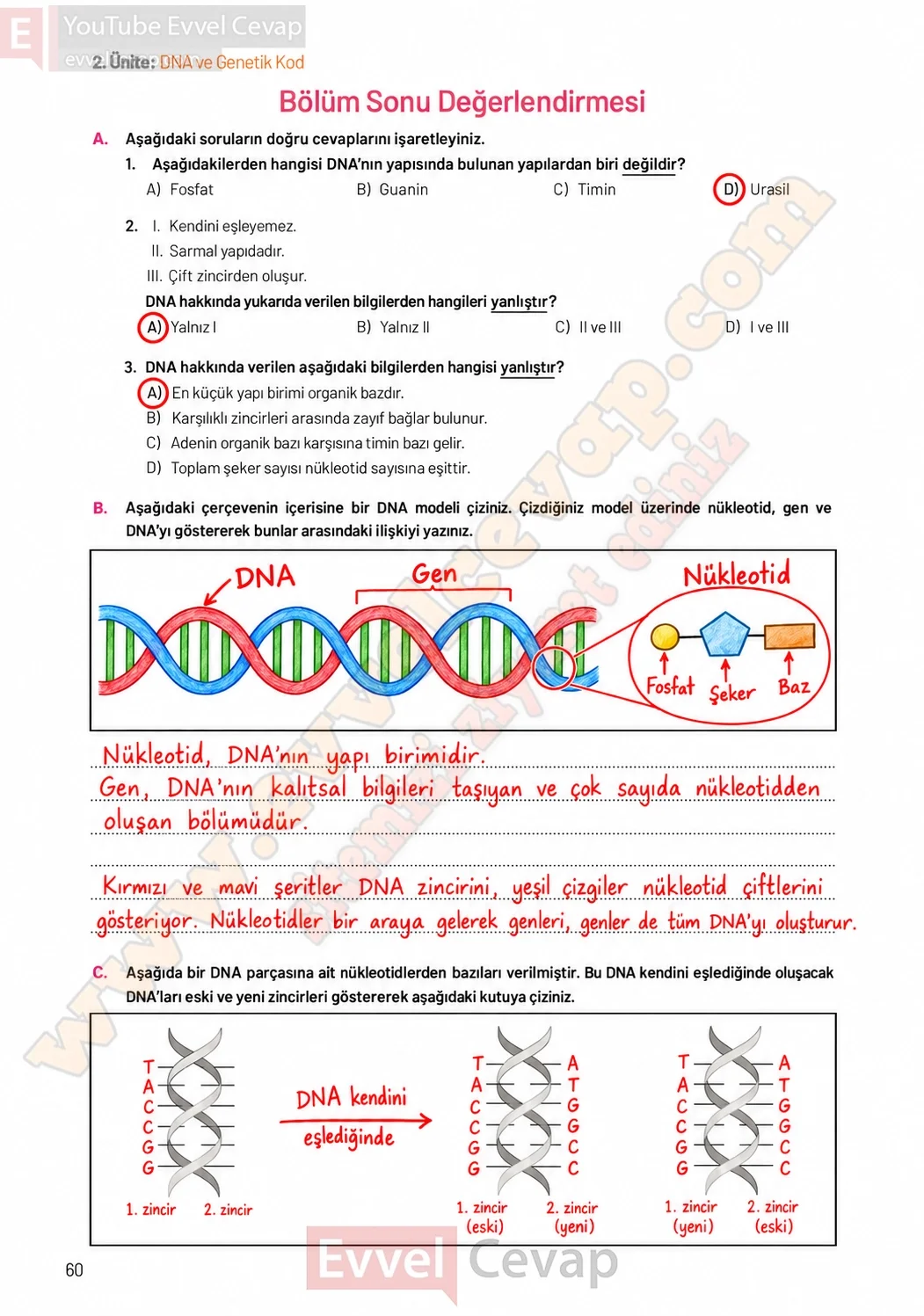 8-sinif-fen-bilimleri-ders-kitabi-sayfa-60-cevaplari-hecce-yayinlari-2026-2027
