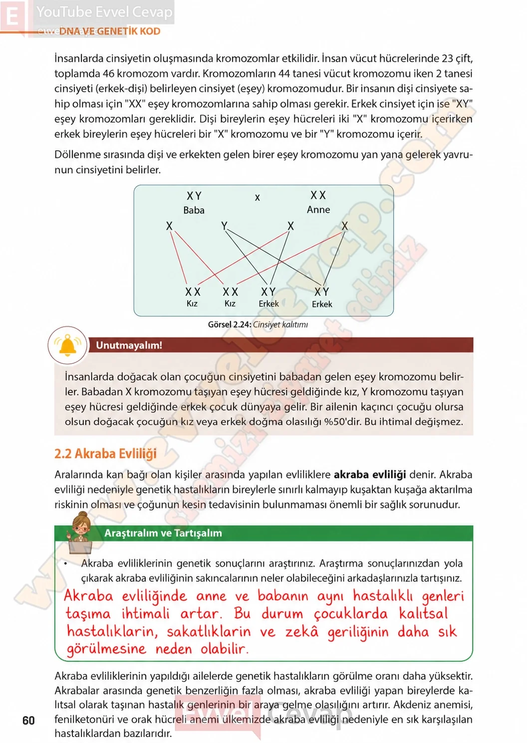 8-sinif-fen-bilimleri-ders-kitabi-sayfa-60-cevaplari-meb-yayinlari-2026-2027