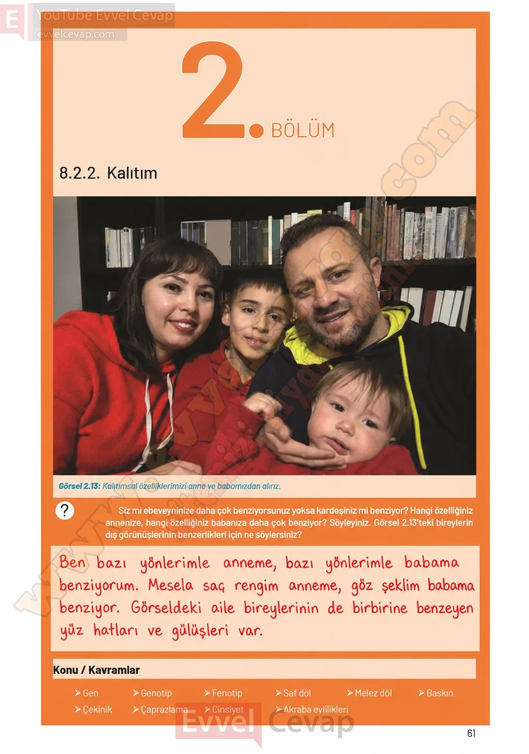 8-sinif-fen-bilimleri-ders-kitabi-sayfa-61-cevaplari-hecce-yayinlari-2026-2027