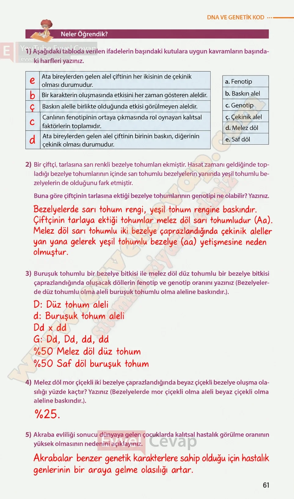 8-sinif-fen-bilimleri-ders-kitabi-sayfa-61-cevaplari-meb-yayinlari-2026-2027