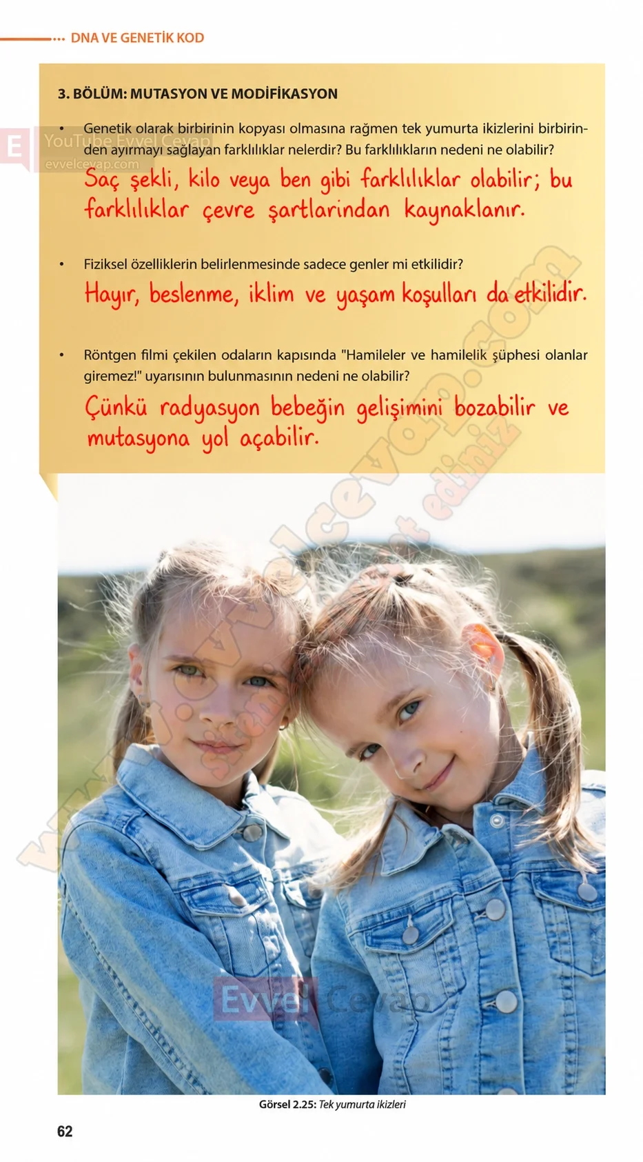 8-sinif-fen-bilimleri-ders-kitabi-sayfa-62-cevaplari-meb-yayinlari-2026-2027