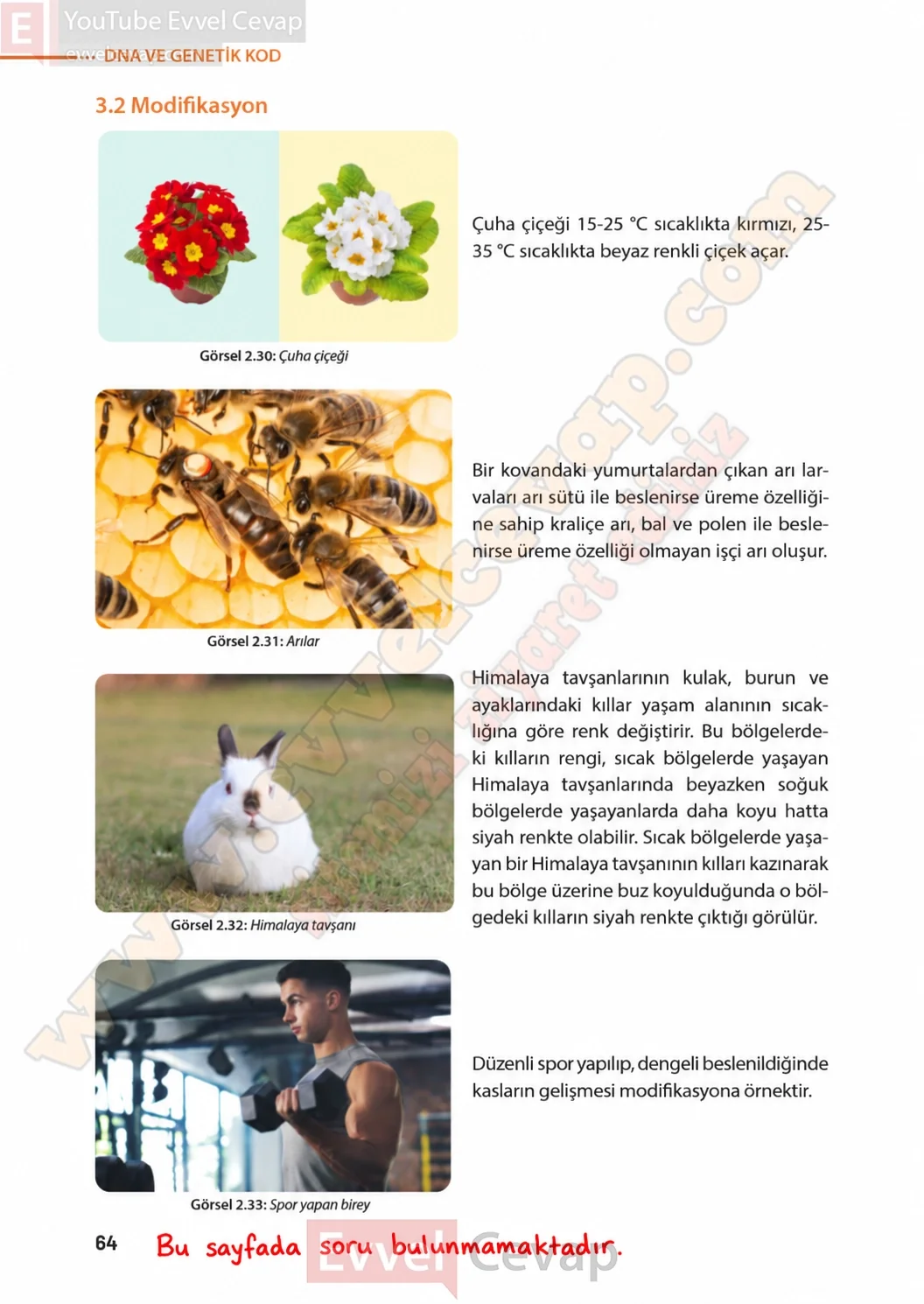 8-sinif-fen-bilimleri-ders-kitabi-sayfa-64-cevaplari-meb-yayinlari-2026-2027
