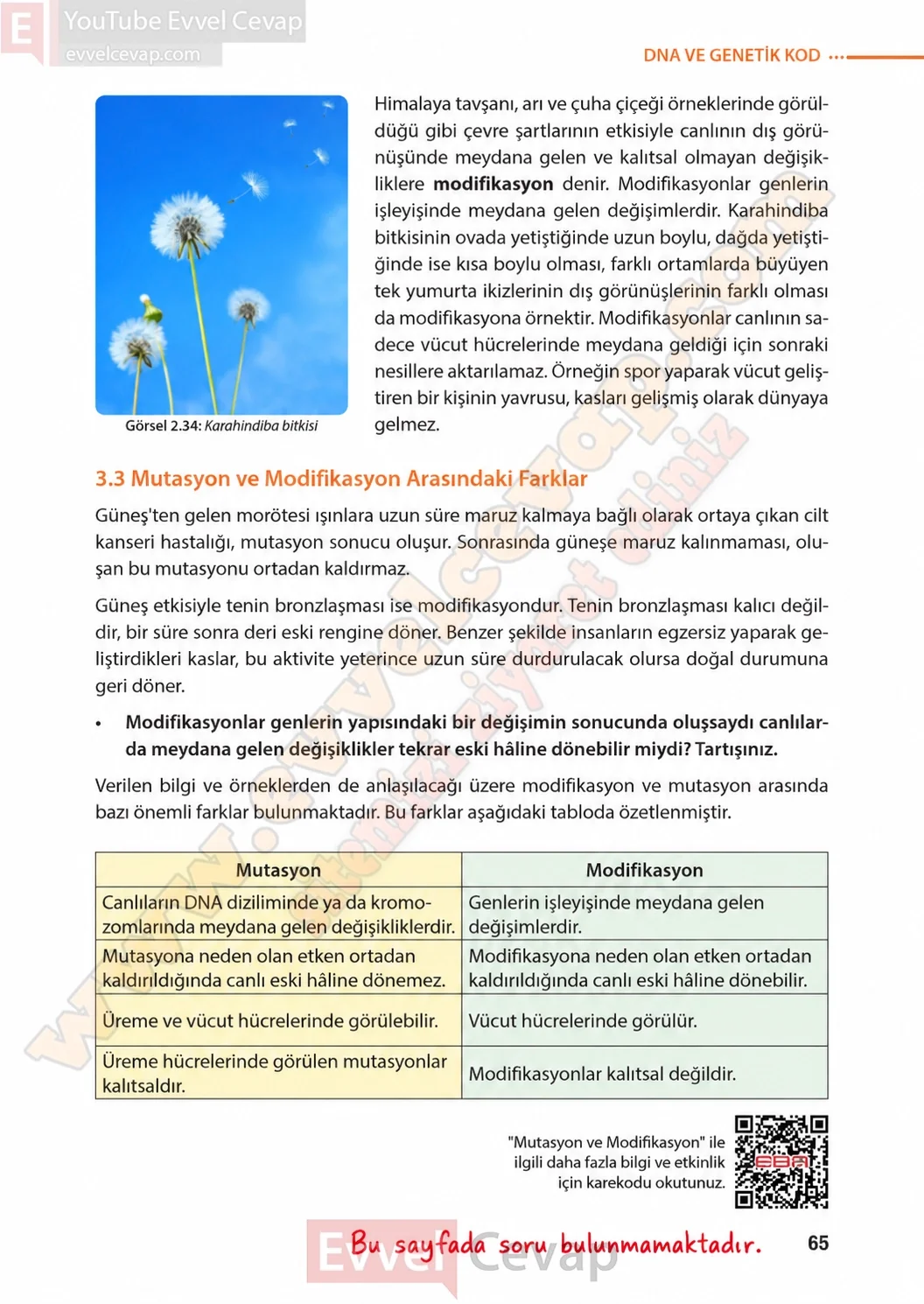 8-sinif-fen-bilimleri-ders-kitabi-sayfa-65-cevaplari-meb-yayinlari-2026-2027