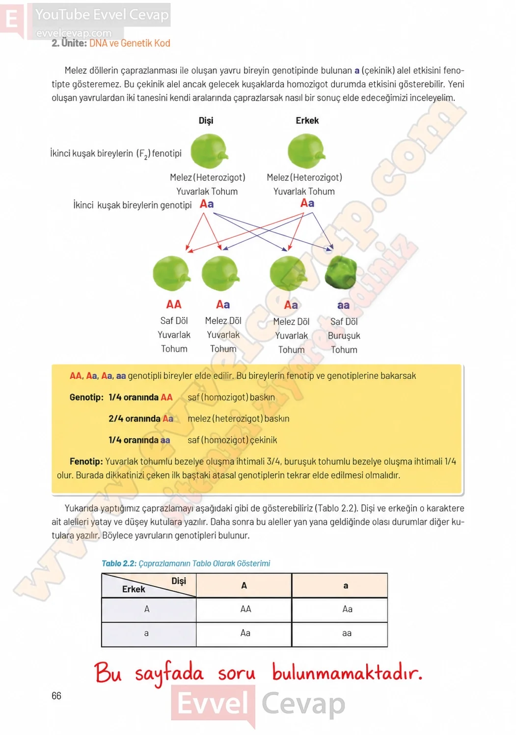 8-sinif-fen-bilimleri-ders-kitabi-sayfa-66-cevaplari-hecce-yayinlari-2026-2027