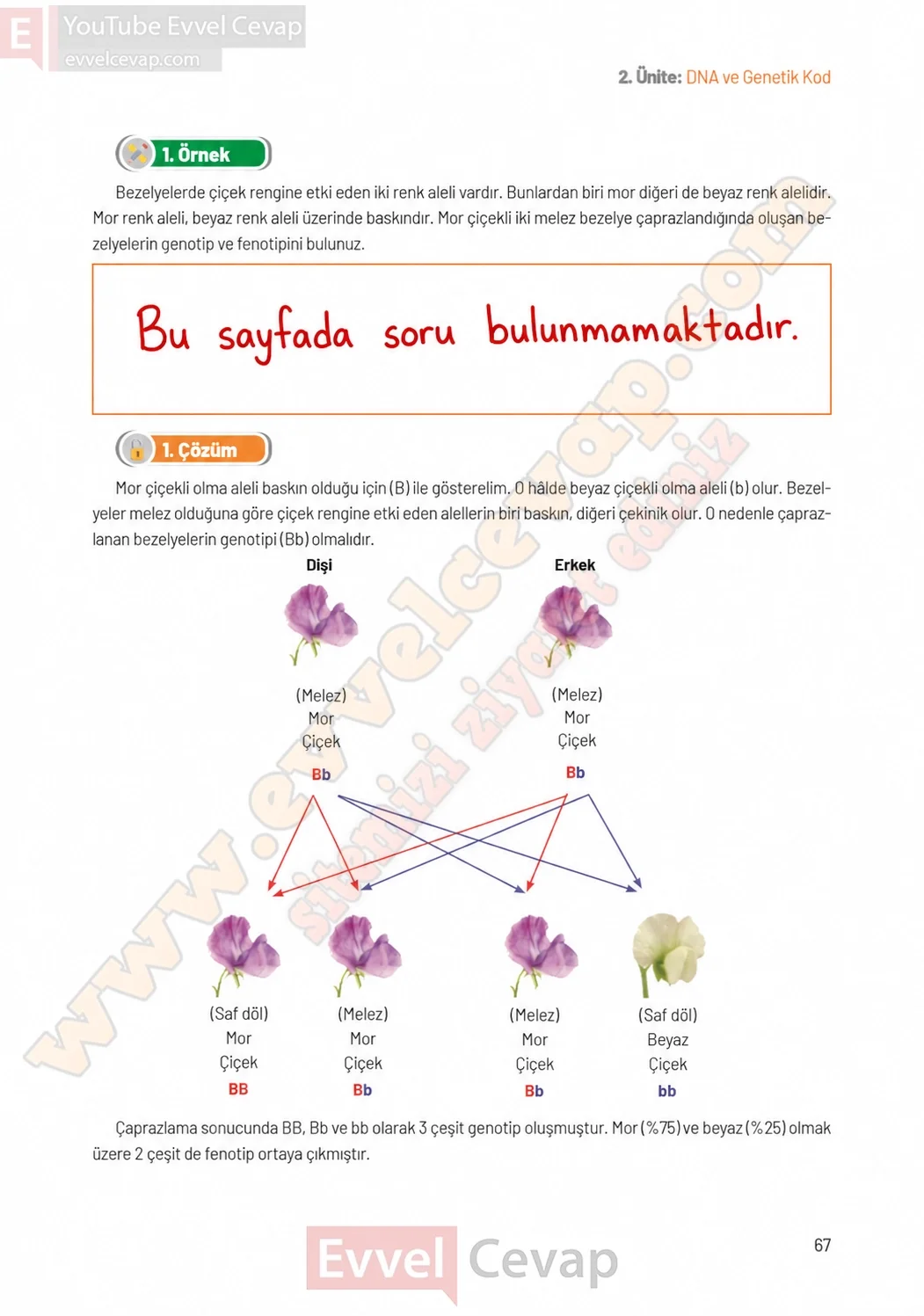 8-sinif-fen-bilimleri-ders-kitabi-sayfa-67-cevaplari-hecce-yayinlari-2026-2027