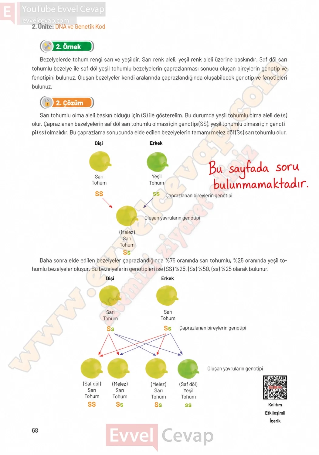 8-sinif-fen-bilimleri-ders-kitabi-sayfa-68-cevaplari-hecce-yayinlari-2026-2027