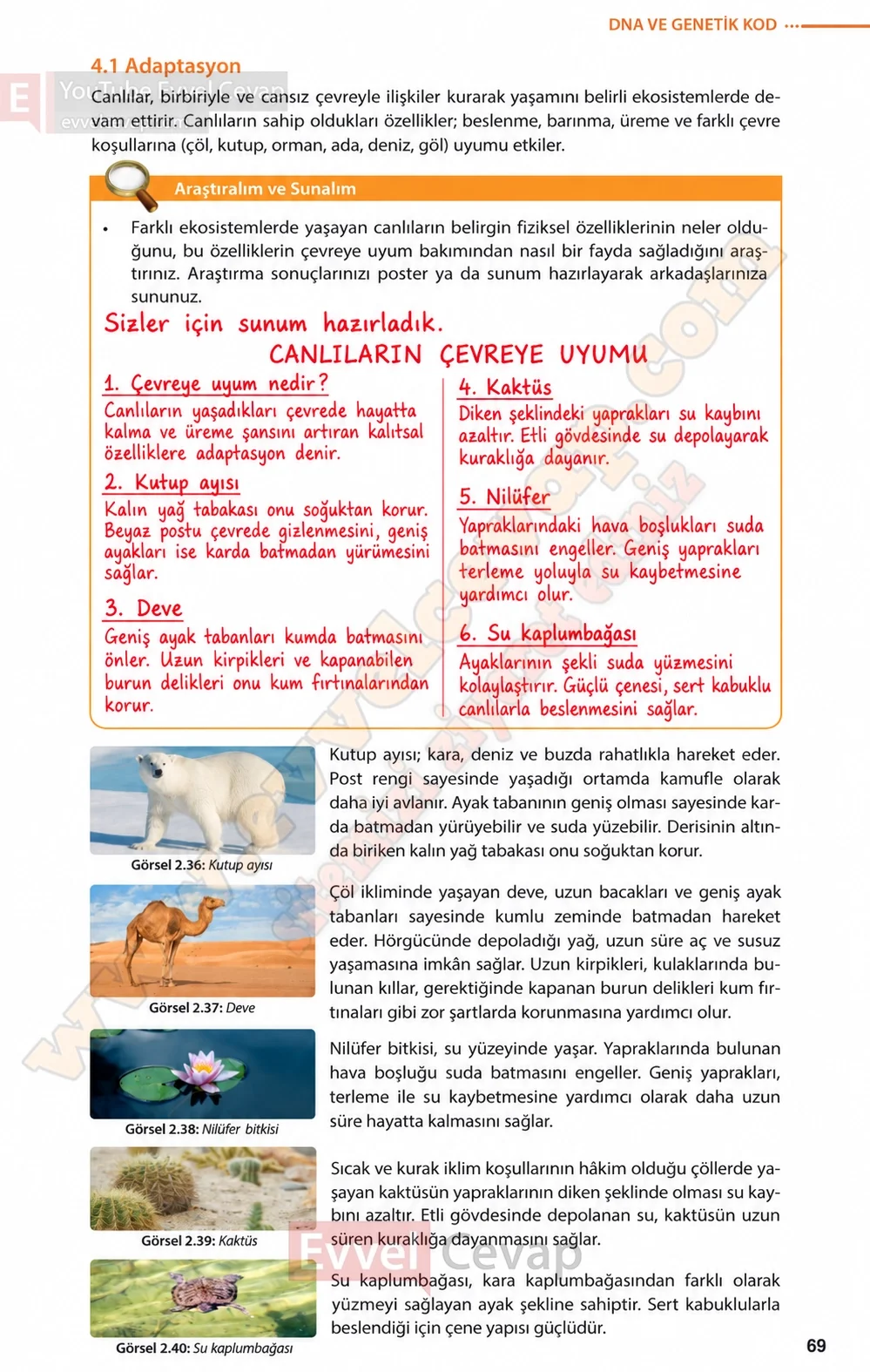 8-sinif-fen-bilimleri-ders-kitabi-sayfa-69-cevaplari-meb-yayinlari-2026-2027