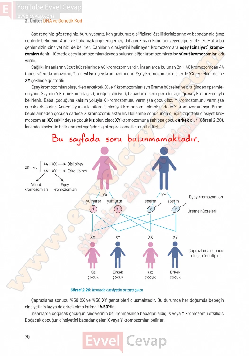 8-sinif-fen-bilimleri-ders-kitabi-sayfa-70-cevaplari-hecce-yayinlari-2026-2027