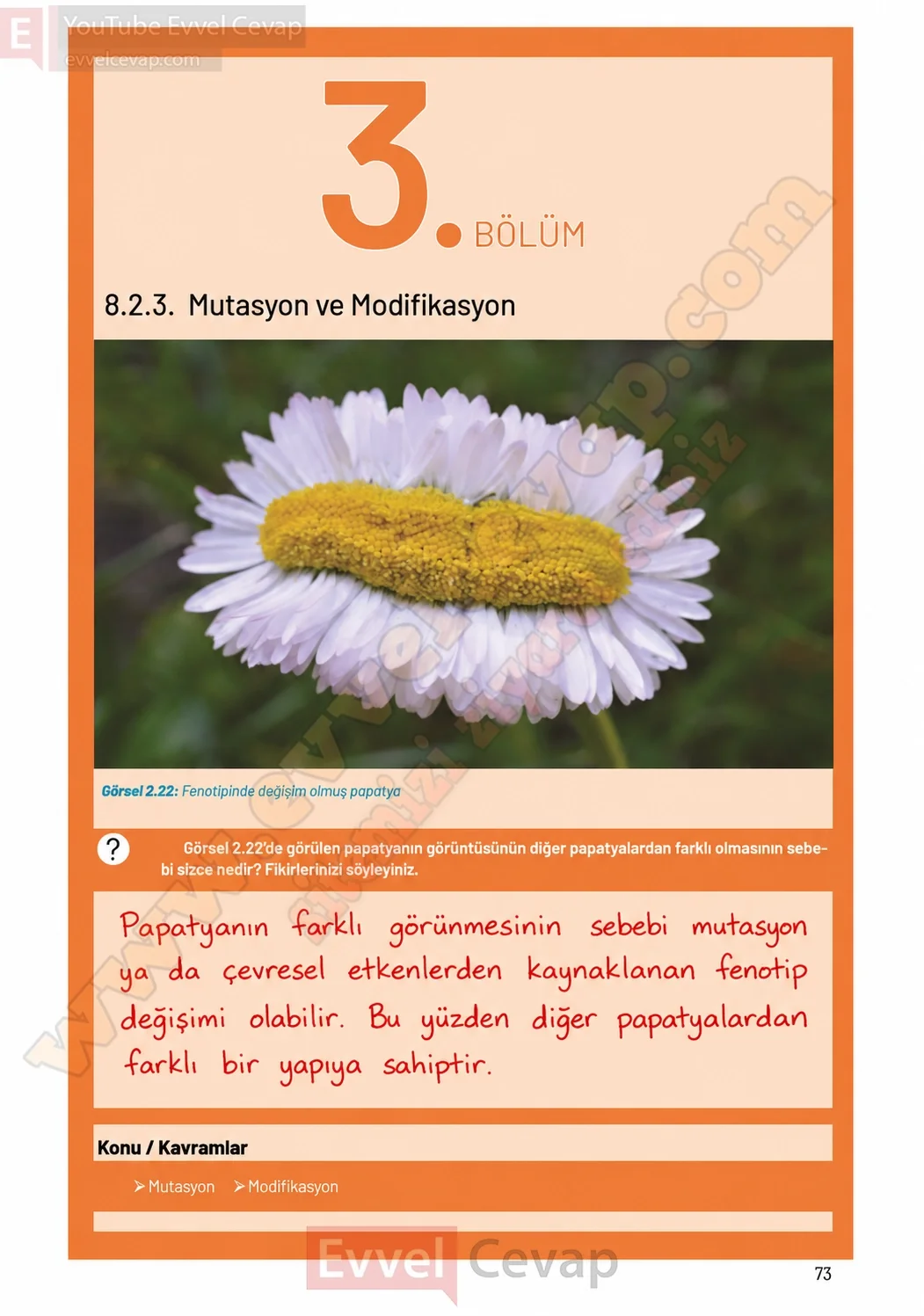 8-sinif-fen-bilimleri-ders-kitabi-sayfa-73-cevaplari-hecce-yayinlari-2026-2027