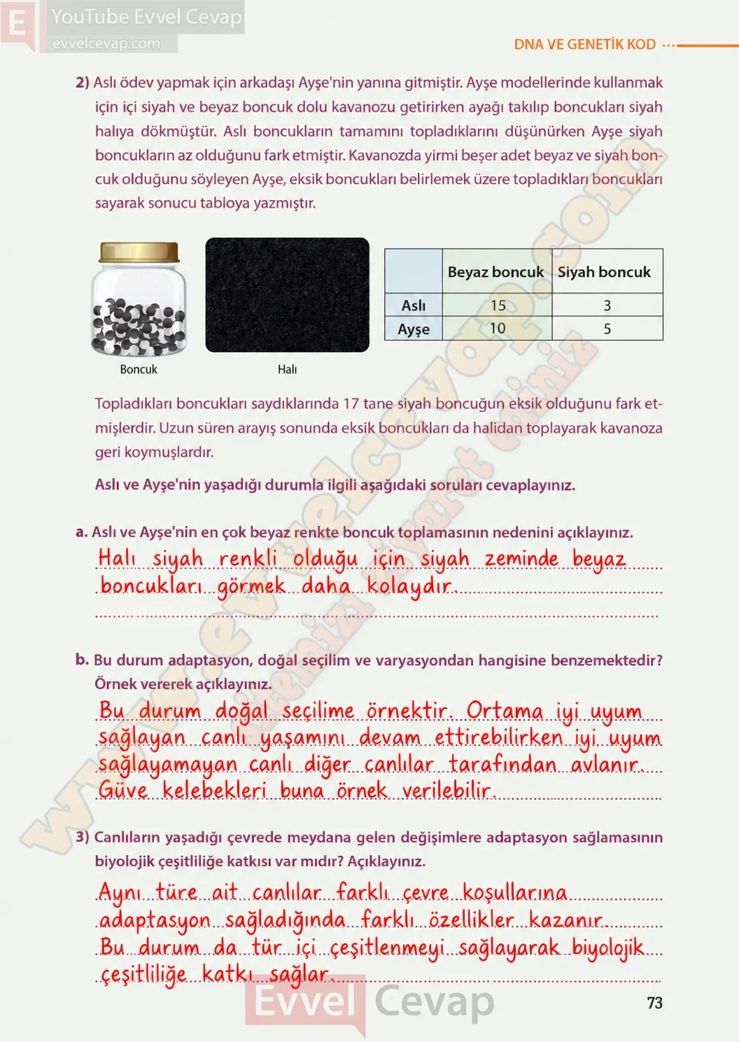 8-sinif-fen-bilimleri-ders-kitabi-sayfa-73-cevaplari-meb-yayinlari-2026-2027