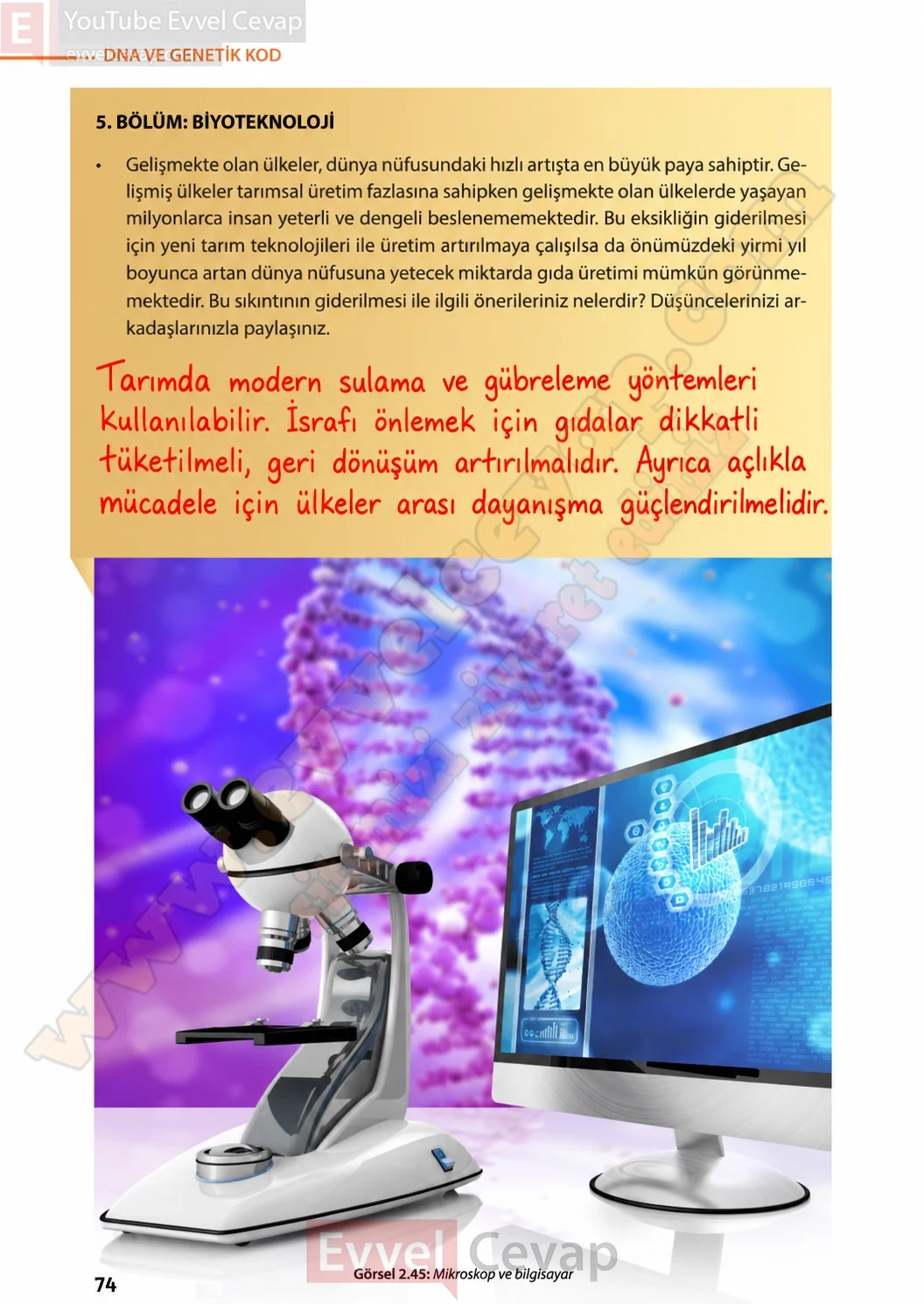 8-sinif-fen-bilimleri-ders-kitabi-sayfa-74-cevaplari-meb-yayinlari-2026-2027