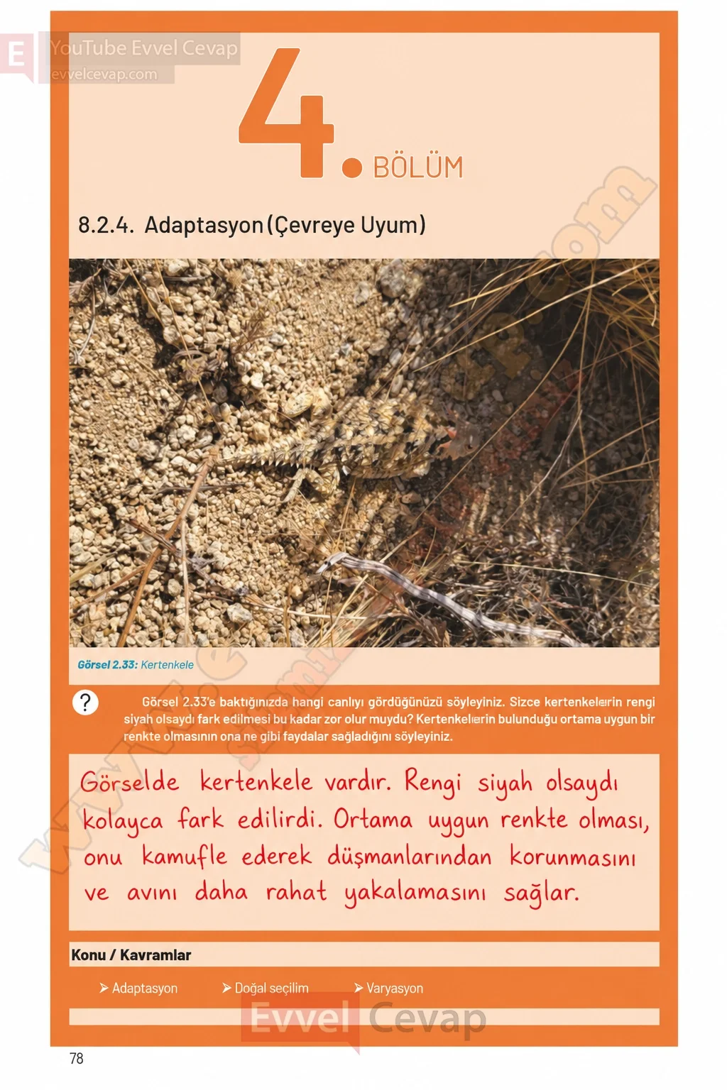 8-sinif-fen-bilimleri-ders-kitabi-sayfa-78-cevaplari-hecce-yayinlari-2026-2027