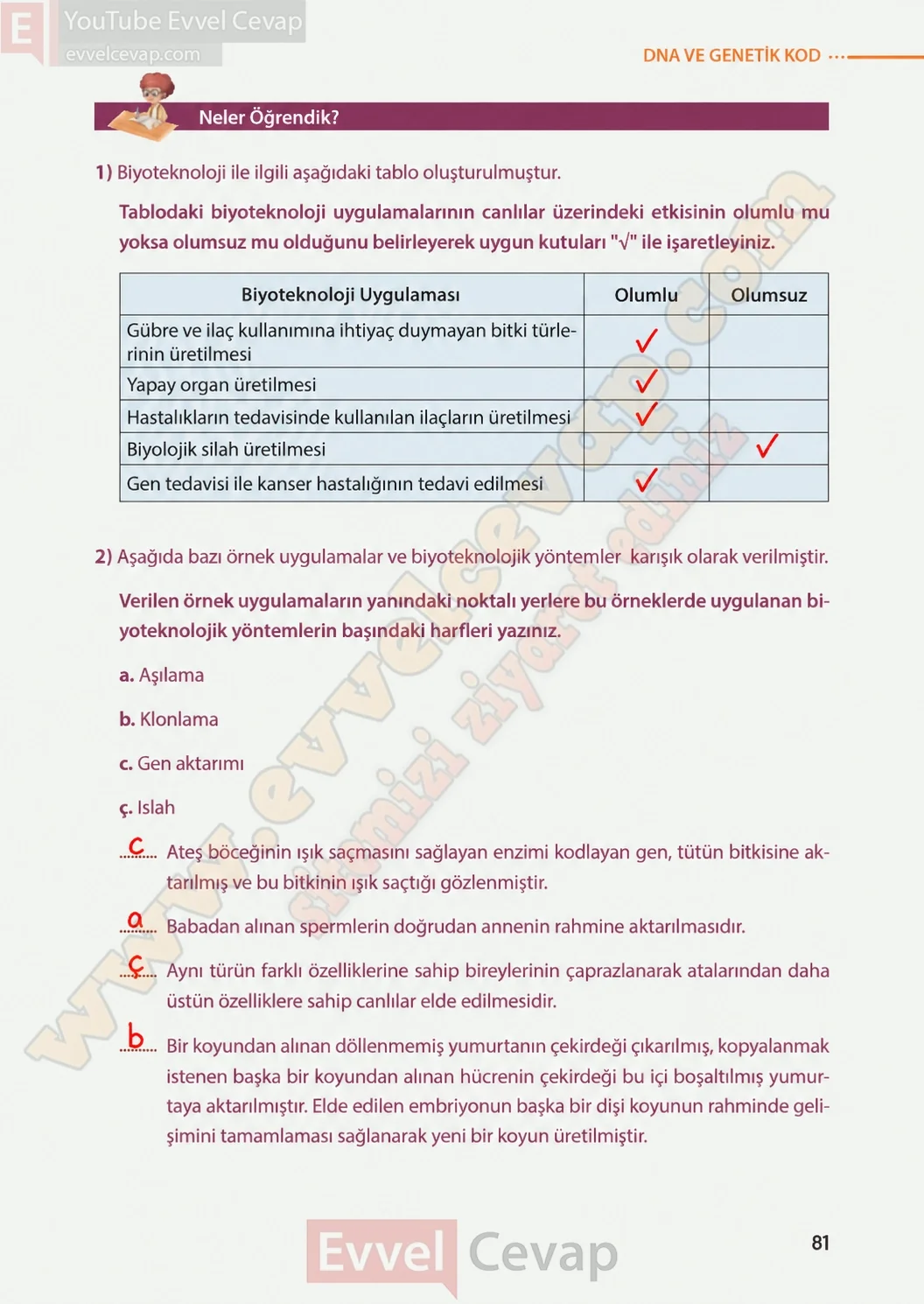 8-sinif-fen-bilimleri-ders-kitabi-sayfa-81-cevaplari-meb-yayinlari-2026-2027
