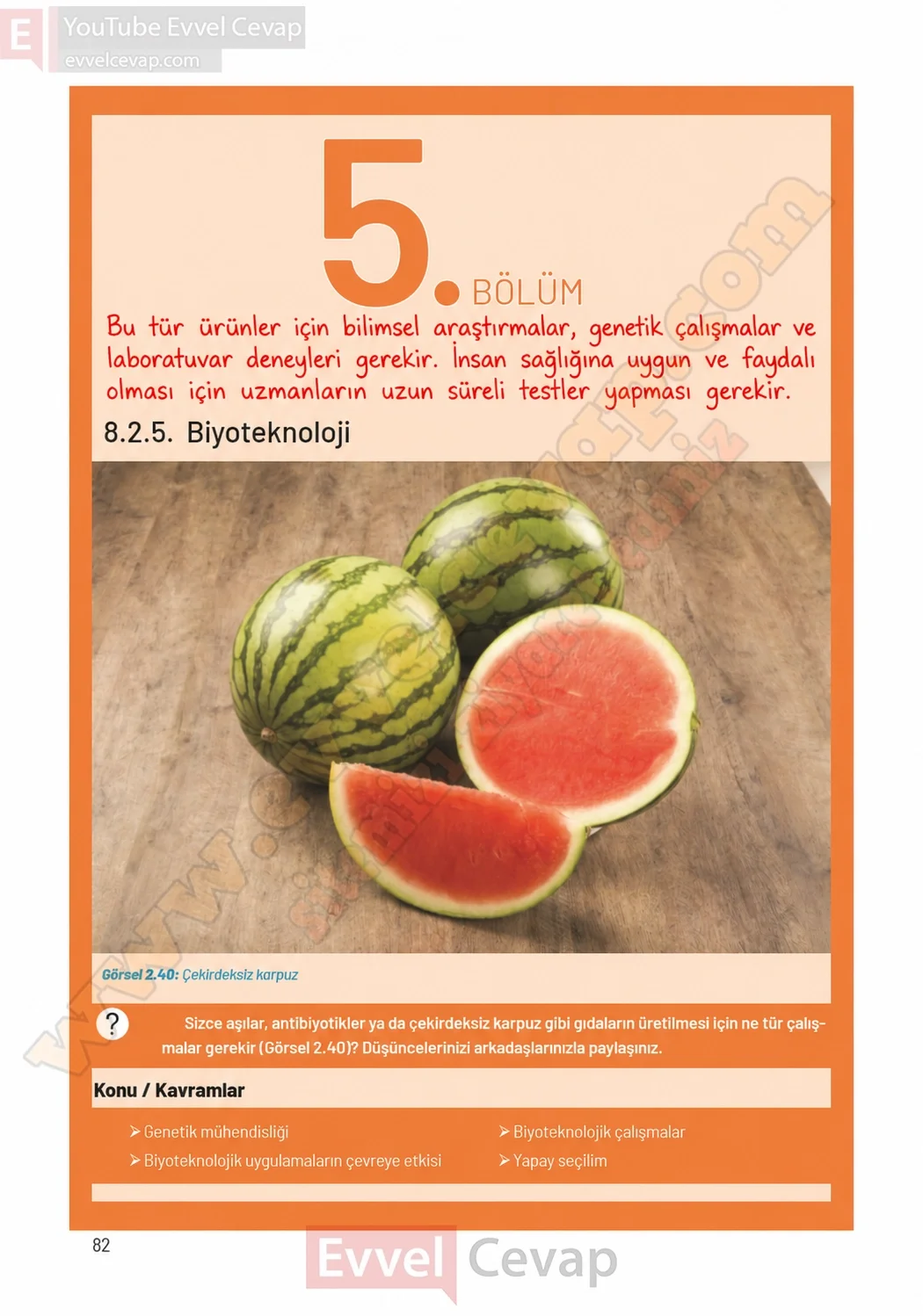 8-sinif-fen-bilimleri-ders-kitabi-sayfa-82-cevaplari-hecce-yayinlari-2026-2027