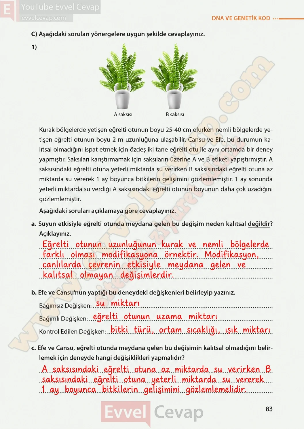 8-sinif-fen-bilimleri-ders-kitabi-sayfa-83-cevaplari-meb-yayinlari-2026-2027