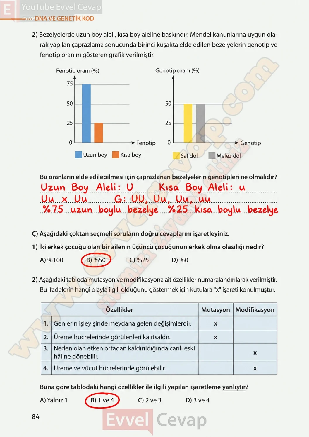 8-sinif-fen-bilimleri-ders-kitabi-sayfa-84-cevaplari-meb-yayinlari-2026-2027