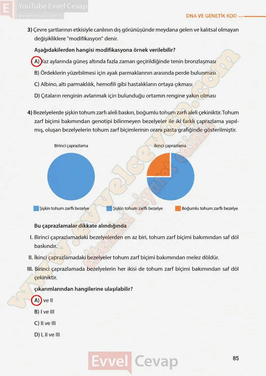 8-sinif-fen-bilimleri-ders-kitabi-sayfa-85-cevaplari-meb-yayinlari-2026-2027