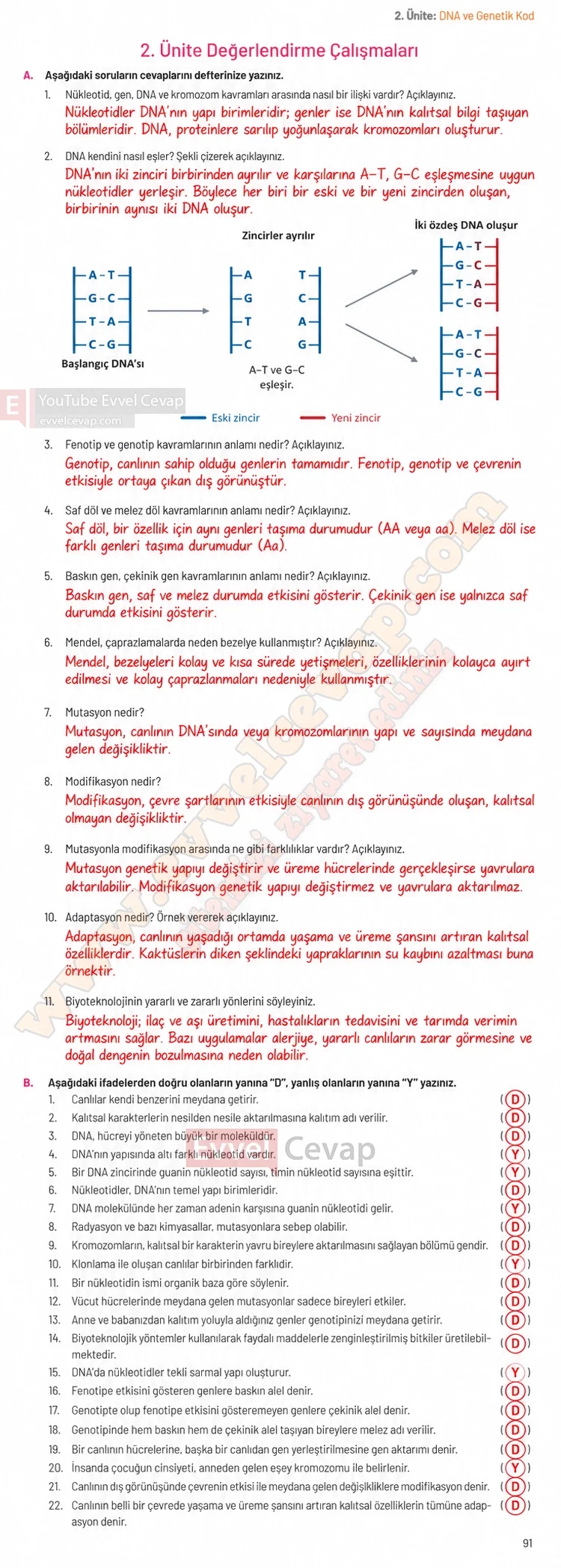 8-sinif-fen-bilimleri-ders-kitabi-sayfa-91-cevaplari-hecce-yayinlari-2026-2027