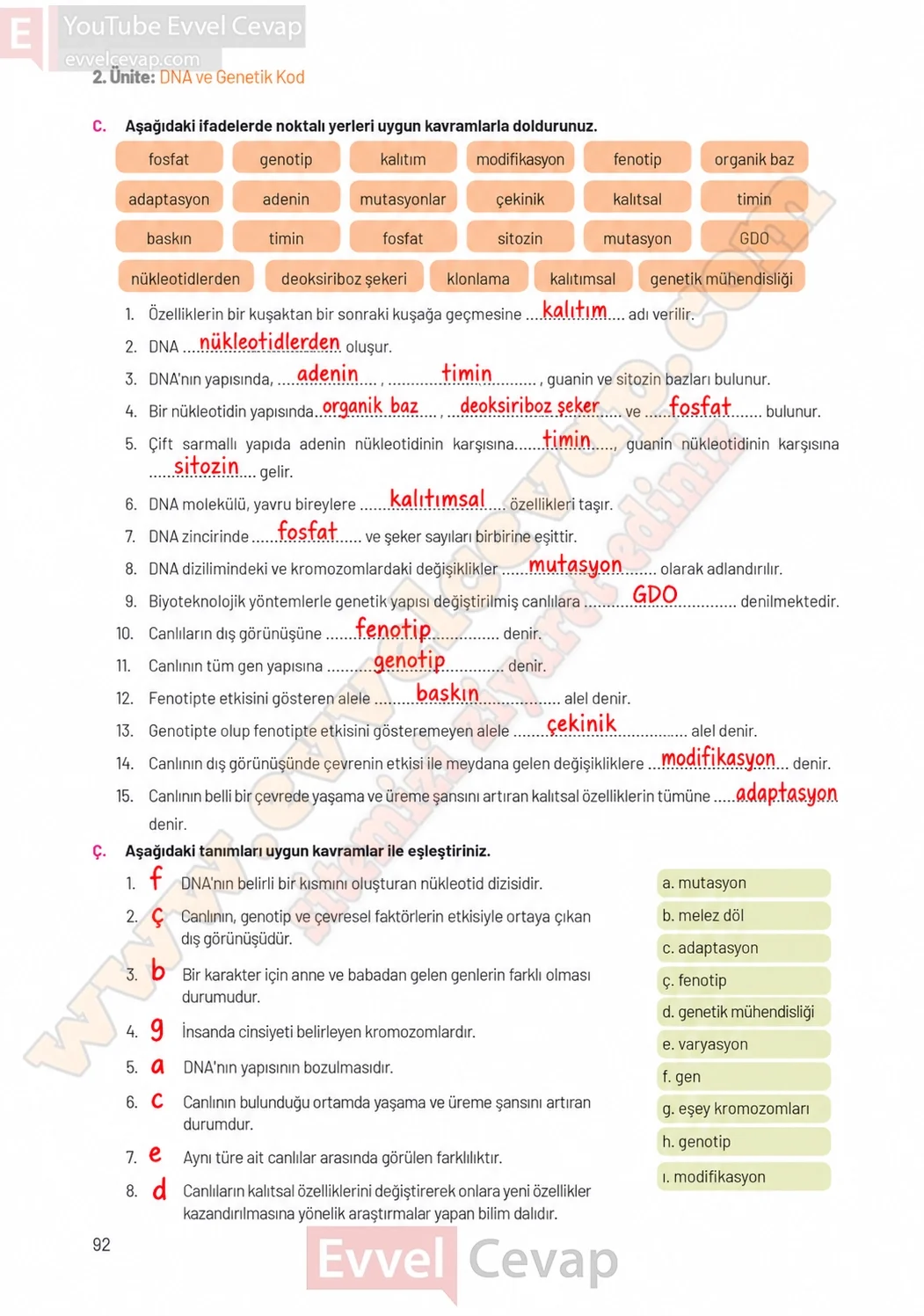 8-sinif-fen-bilimleri-ders-kitabi-sayfa-92-cevaplari-hecce-yayinlari-2026-2027