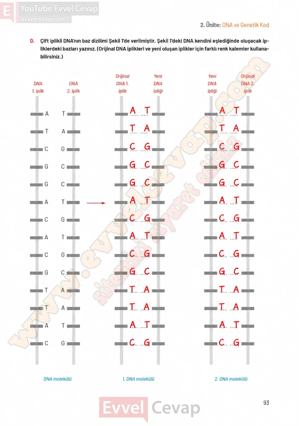 8-sinif-fen-bilimleri-ders-kitabi-sayfa-93-cevaplari-hecce-yayinlari-2026-2027
