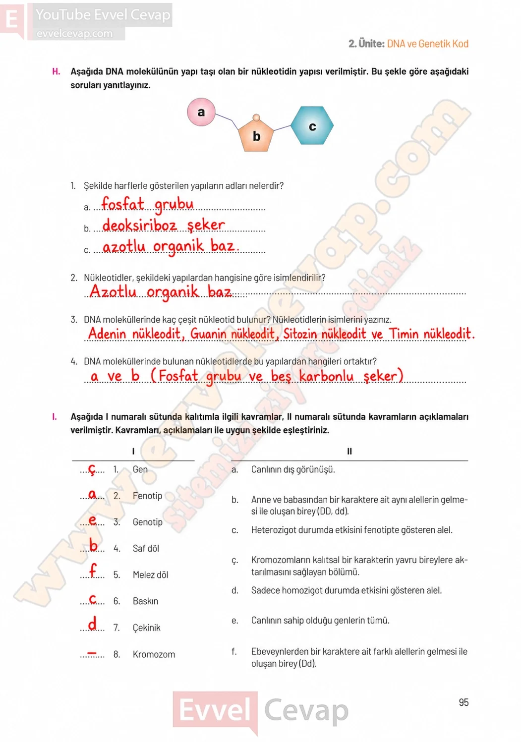 8-sinif-fen-bilimleri-ders-kitabi-sayfa-95-cevaplari-hecce-yayinlari-2026-2027