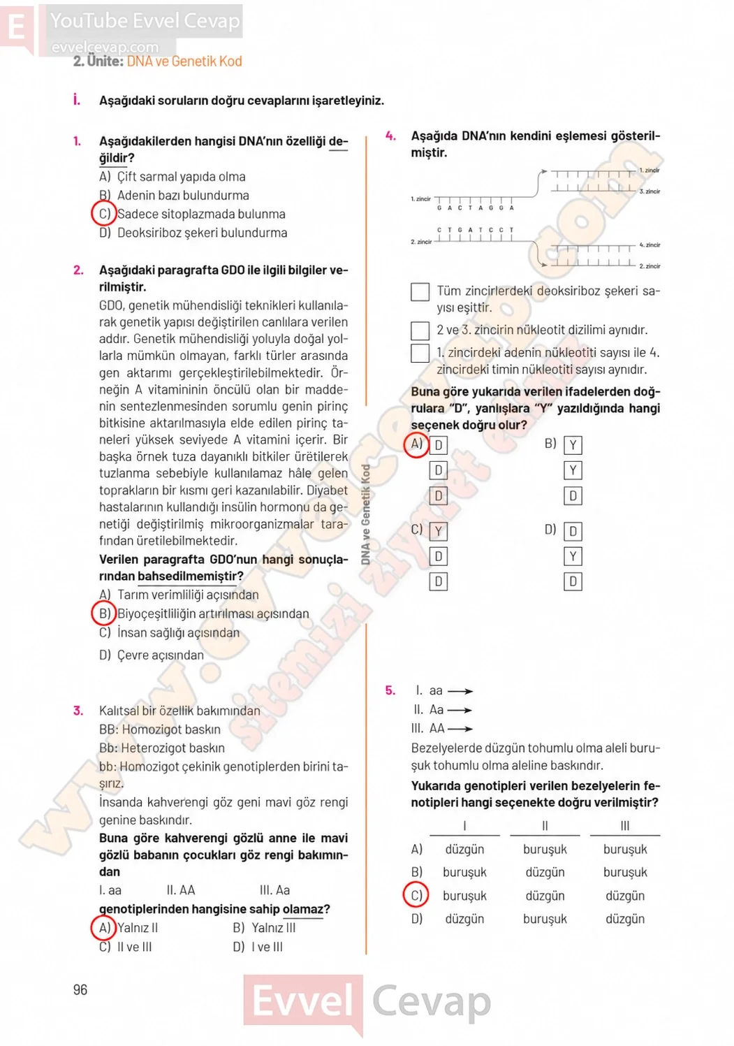 8-sinif-fen-bilimleri-ders-kitabi-sayfa-96-cevaplari-hecce-yayinlari-2026-2027