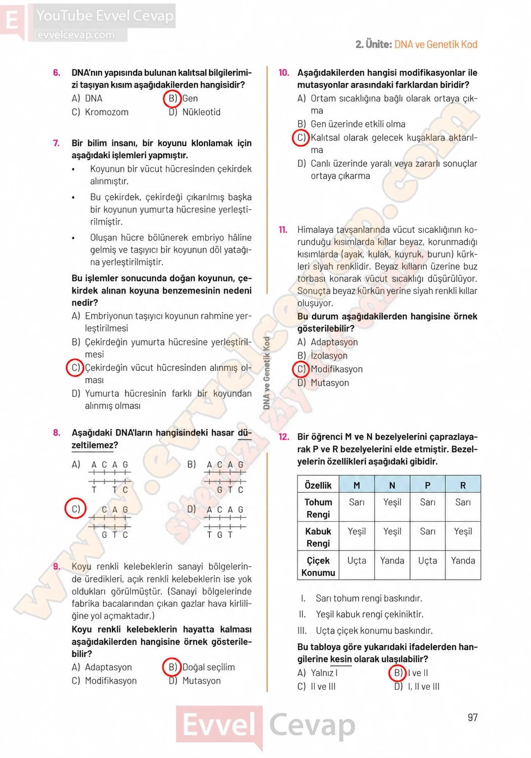 8-sinif-fen-bilimleri-ders-kitabi-sayfa-97-cevaplari-hecce-yayinlari-2026-2027