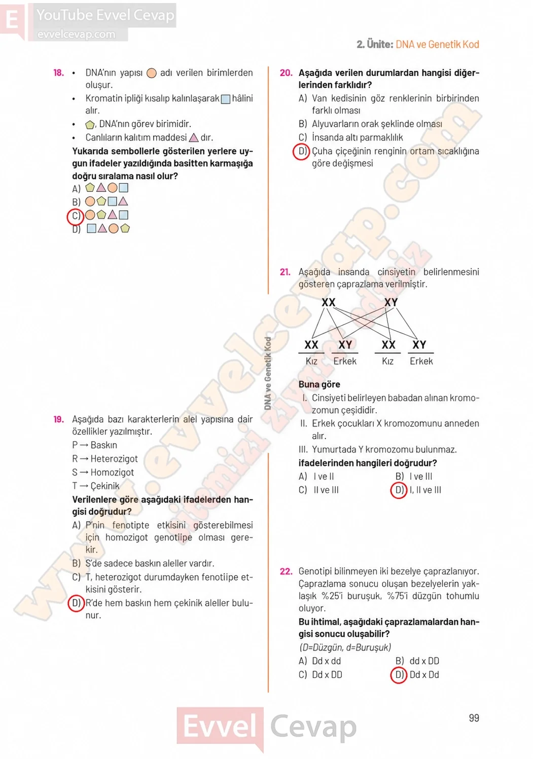 8-sinif-fen-bilimleri-ders-kitabi-sayfa-99-cevaplari-hecce-yayinlari-2026-2027