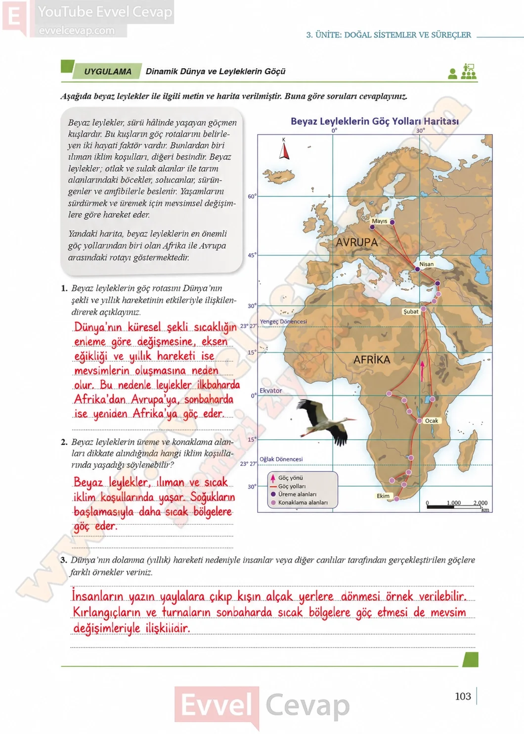 9-sinif-cografya-ders-kitabi-sayfa-103-cevaplari-meb-yayinlari-2026-2027