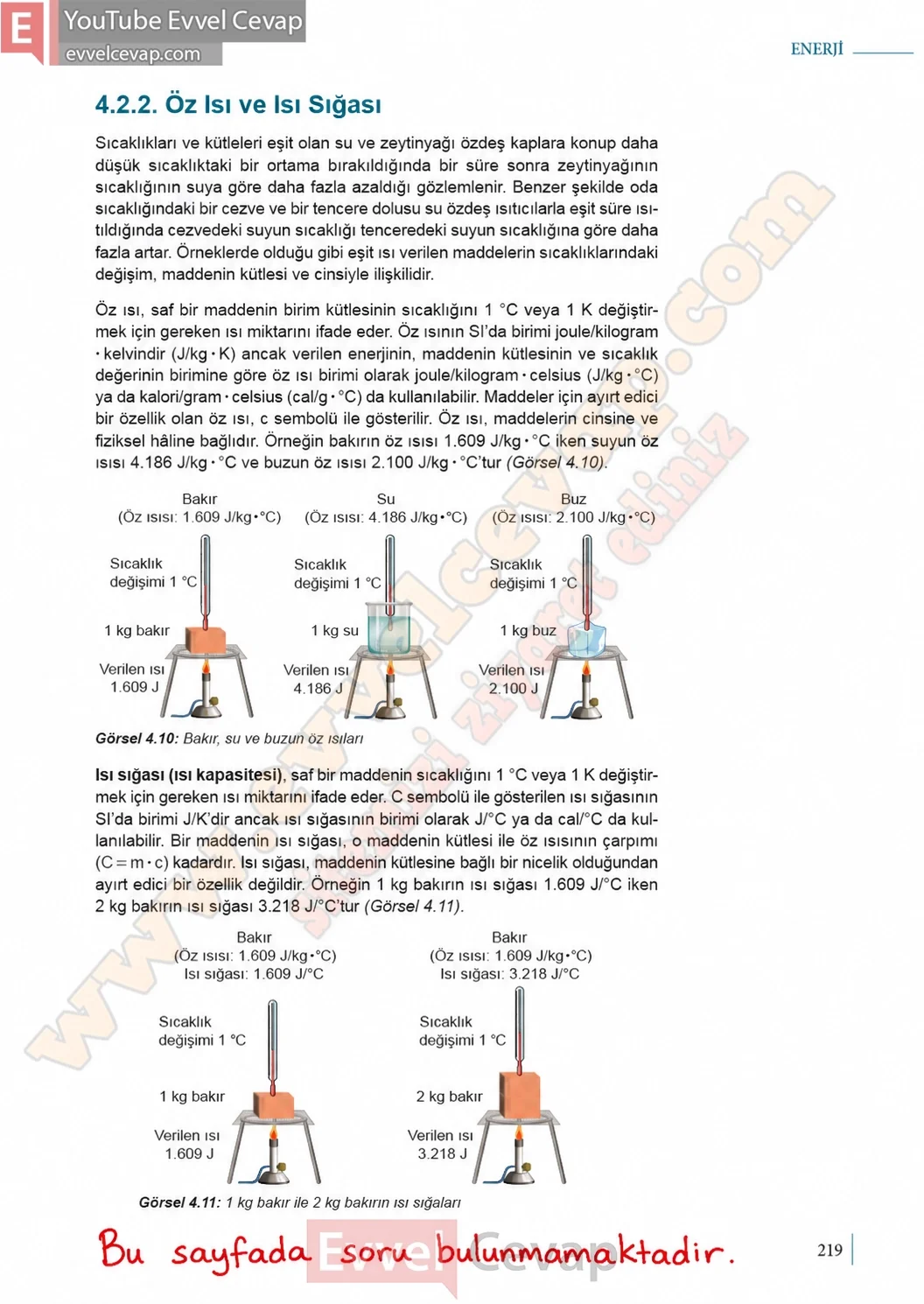 9-sinif-fizik-ders-kitabi-sayfa-219-cevaplari-meb-yayinlari-2026-2027