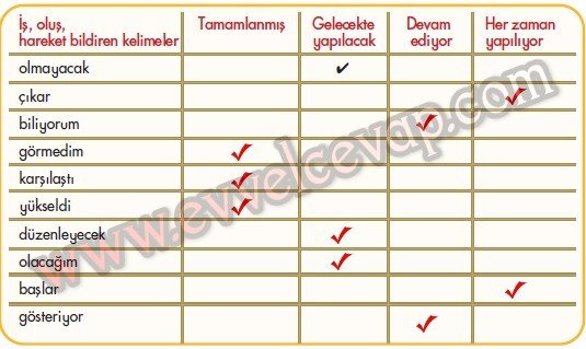 Bastım Bastım Gölgene Bastım 5. Etkinlik Cevabı