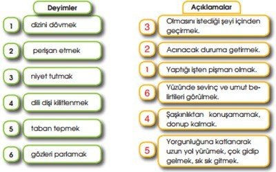 Bir Göl Nasıl Bingöl Oldu 1. Etkinlik Cevabı