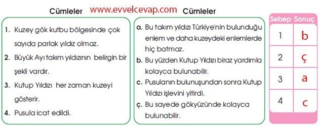 Kutup Yıldızı 5. Etkinlik