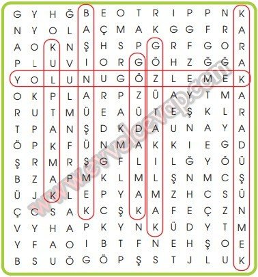 Kınalı Keklik 2. Etkinlik Cevabı