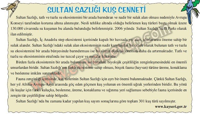 Sultan Sazlığı Kuş Cenneti