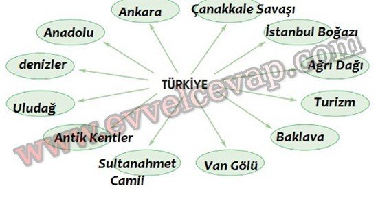 Güzel Yurdum Türkiyem 4. Etkinlik Cevabı