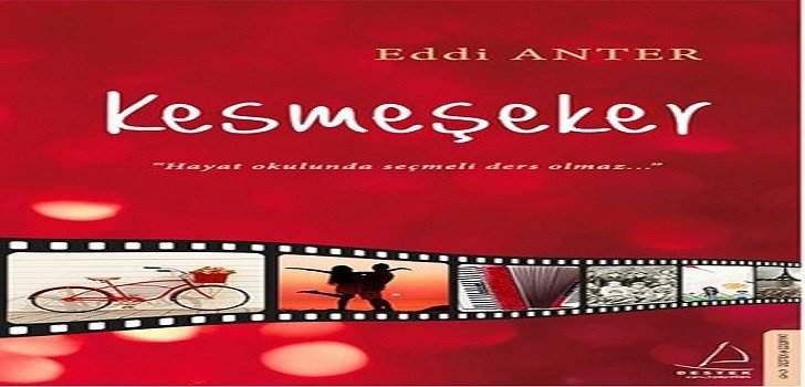 Eddi Anter Kesmeşeker Kitap Özeti
