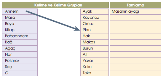 5-sinif-meb-yayinlari-turkce-kitabi-perseid-goktasi-yagmuru-5-etkinlik-cevaplari