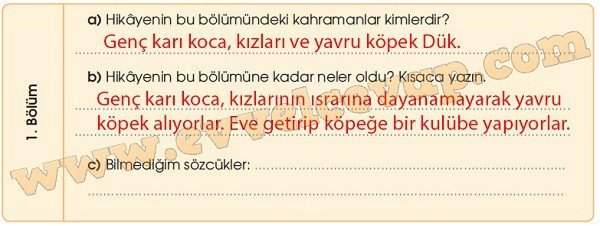 duk-oldu-hoduk-1-etkinlik-cevaplari