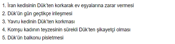 duk-oldu-hoduk-2-etkinlik-cevaplari