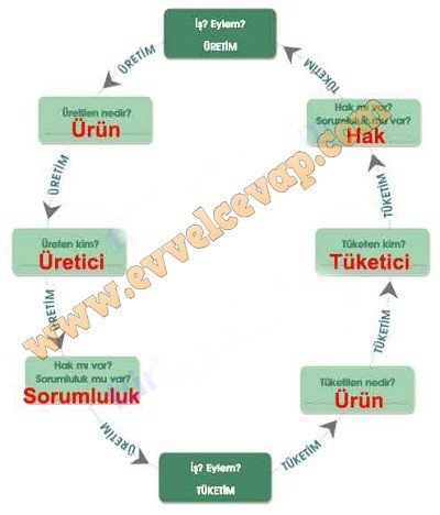 tuketicinin-bilinc-gucu-4-etkinlik-cevaplari