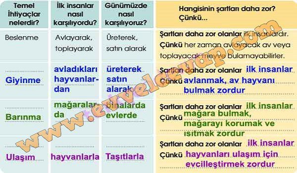 vergi-bilir-1-etkinlik-cevaplari