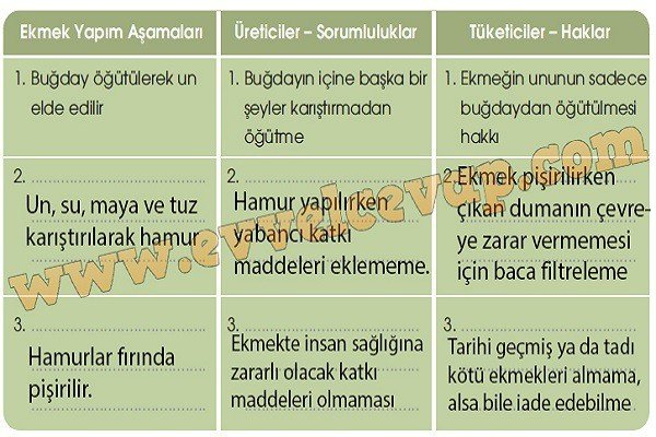 odevsiz-gezegen-6-etkinlik-cevabi