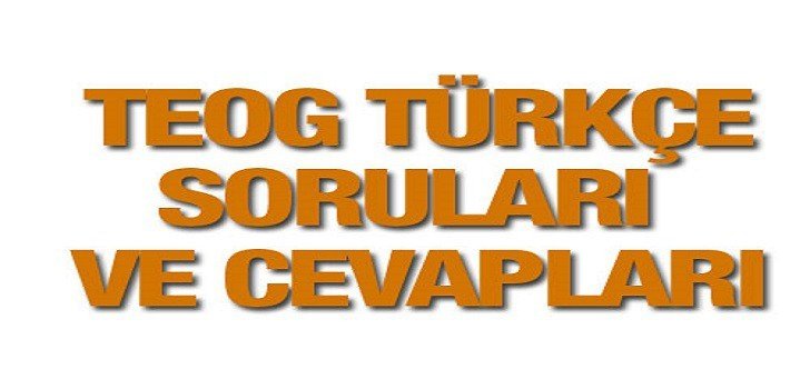 23 Kasım 2016 Teog Türkçe Soruları ve Cevapları