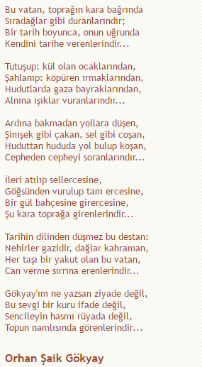 vatan-sevgisi-hakkinda-bir-siir