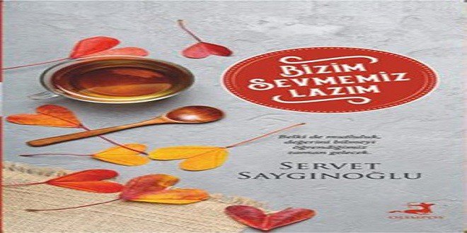 Servet Saygınoğlu Bizim Sevmemiz Lazım Kitap Özeti