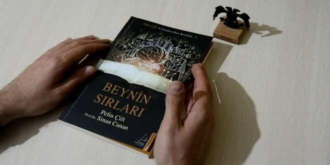 Pelin Çift Sinan Canan Beynin Sırları Kitap Özeti